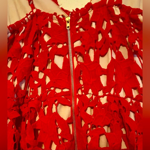 Elegant Red Lace Dress - Picture 4 of 4